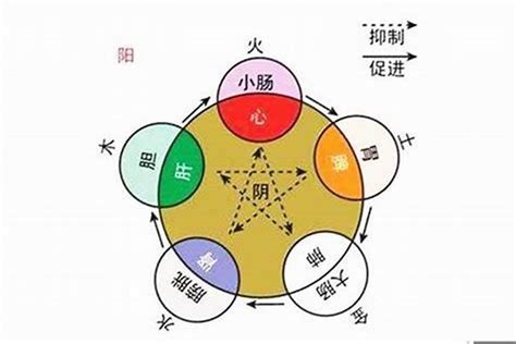 澄的五行|澄字五行属什么